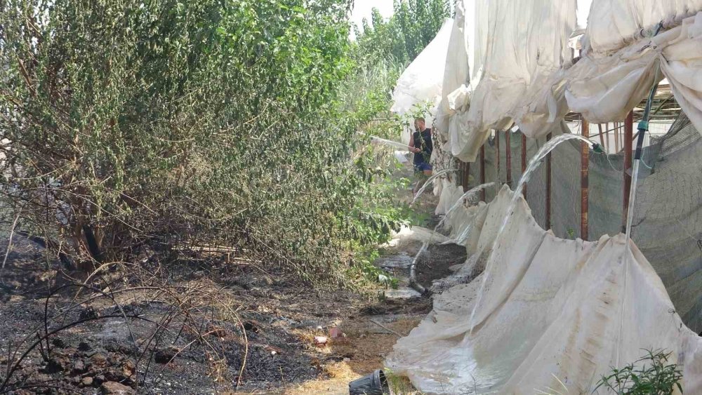 Sezonu kapatırken ne var ne yok yaktılar