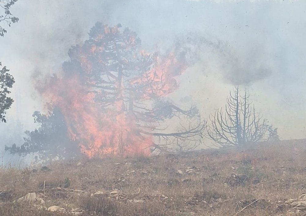 Ermenek ve Sarıveliler’de Orman Yangını: Karadan ve Havadan Müdahale Sürüyor