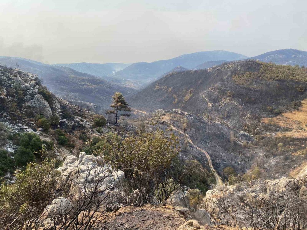 Konya’dan destek verilen Silifke orman yangınlarında kontrol sağlanıyor
