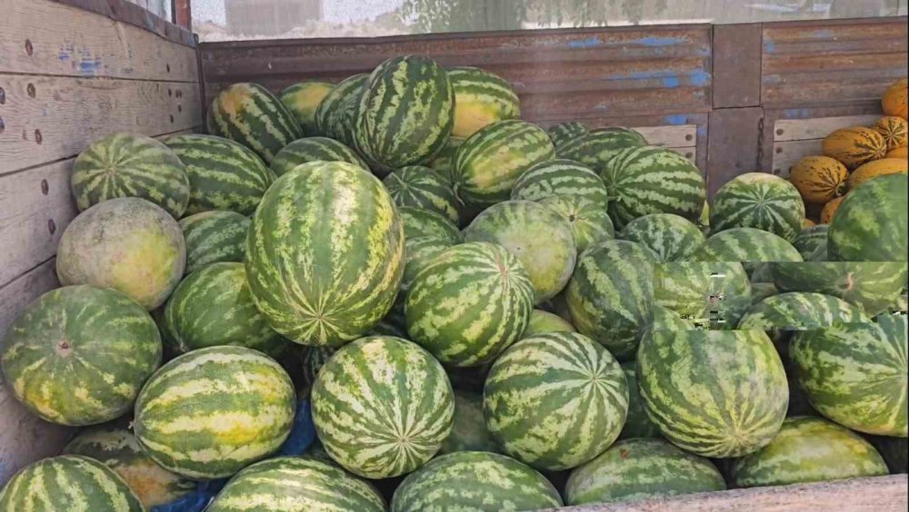 Su sorununu kavun karpuzla çözdüler