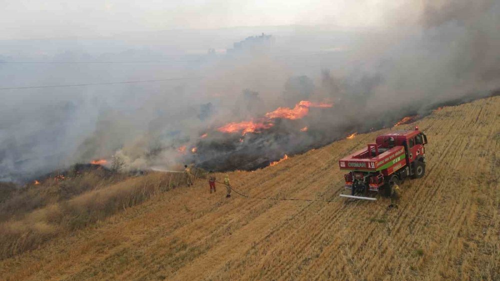 Dikkatsizlik Felakete Dönüşüyor: Küçük Bir Kıvılcım Ormanları Yok Ediyor