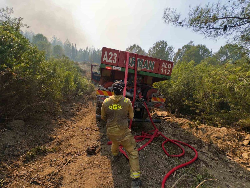 Dikkatsizlik Felakete Dönüşüyor: Küçük Bir Kıvılcım Ormanları Yok Ediyor