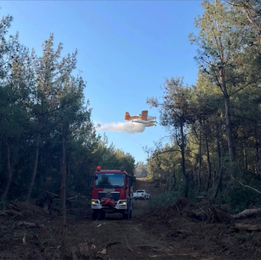 Dikkatsizlik Felakete Dönüşüyor: Küçük Bir Kıvılcım Ormanları Yok Ediyor