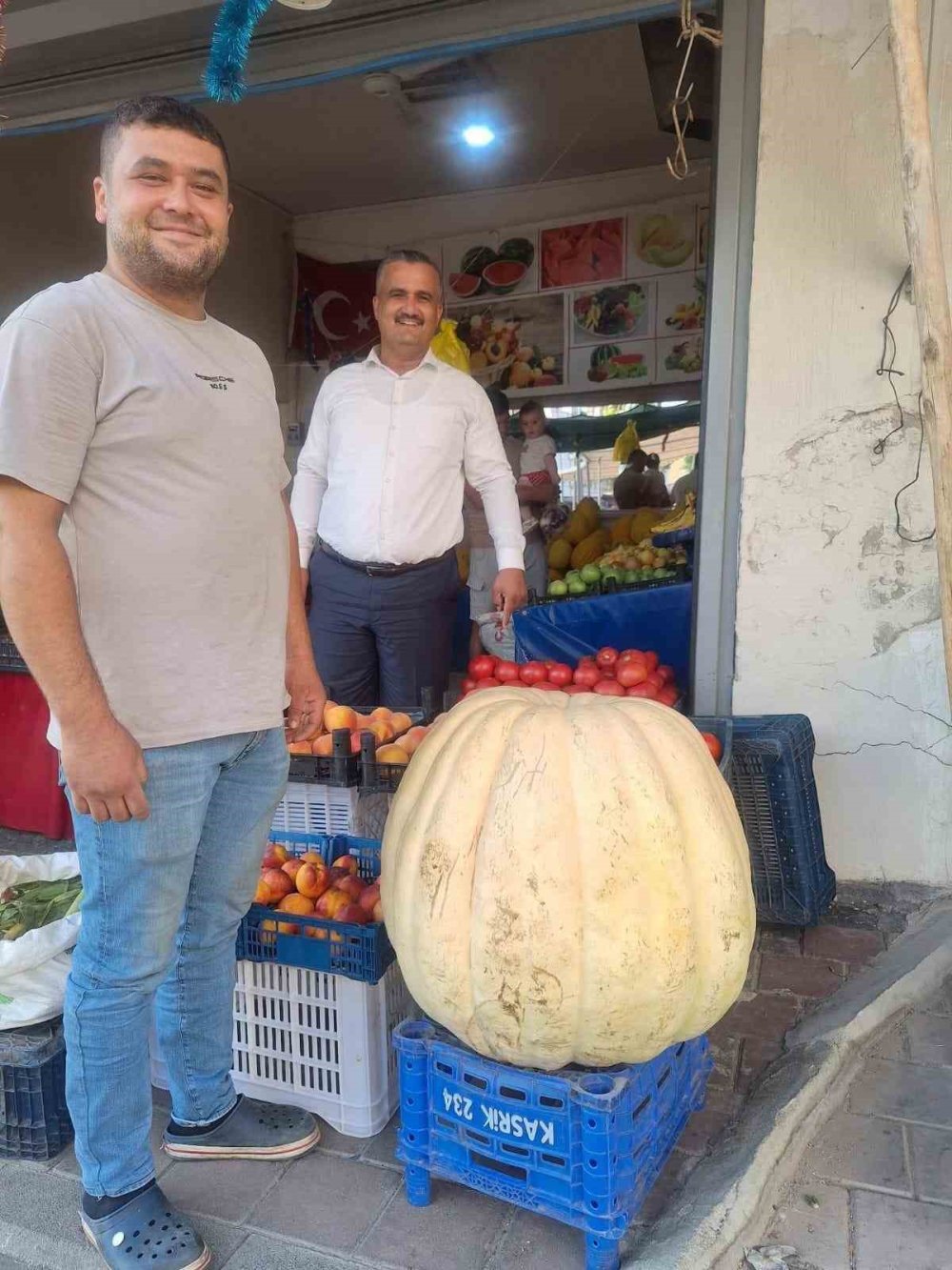 85 Kiloluk Dev Bal Kabağı İlgi Odağı Oldu