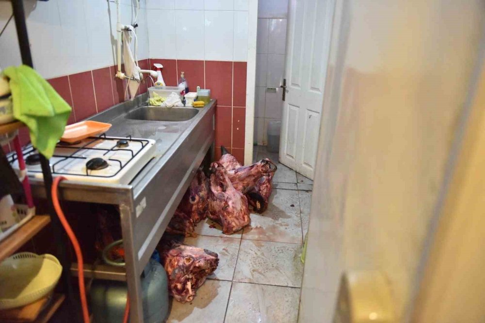 Skandal! Hamam böcekli yumurta alarma geçirdi, çıkanlar şoke etti