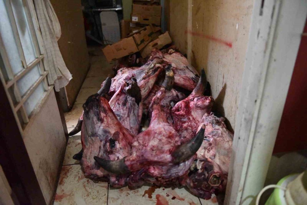 Skandal! Hamam böcekli yumurta alarma geçirdi, çıkanlar şoke etti