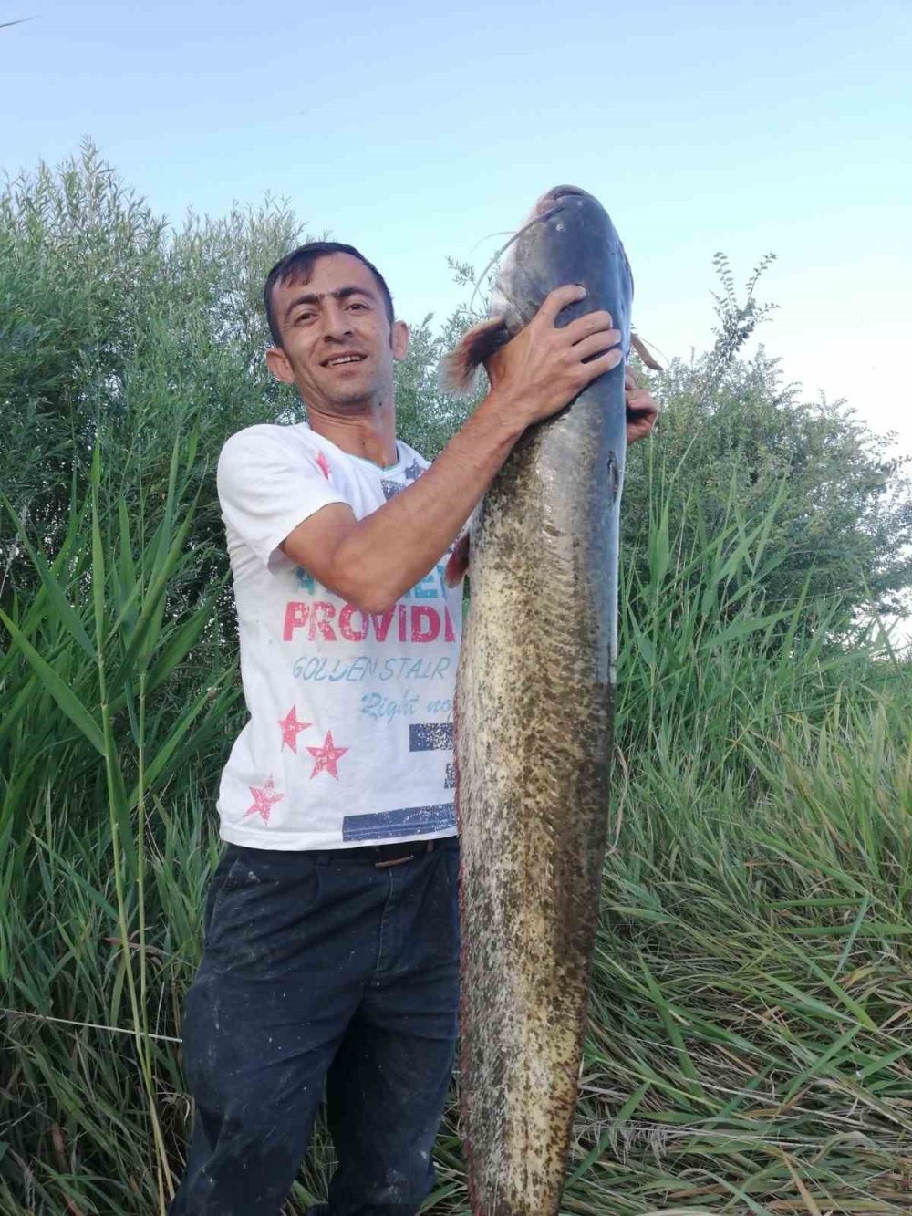 Timsah sanılan dev balık yakalandı: 68 kilo ağırlığında