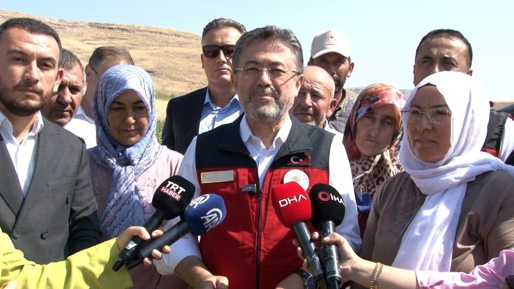 Türkiye, domates üretiminde dünyada 3’üncü sırada