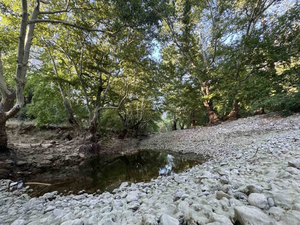 Bir zamanların 'Alabalık Vadisi'ydi: Kentin can damarı da kurudu