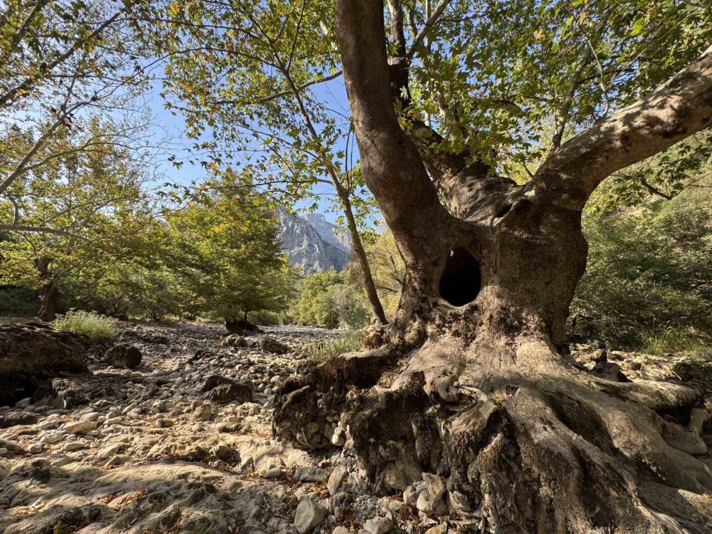 Bir zamanların 'Alabalık Vadisi'ydi: Kentin can damarı da kurudu