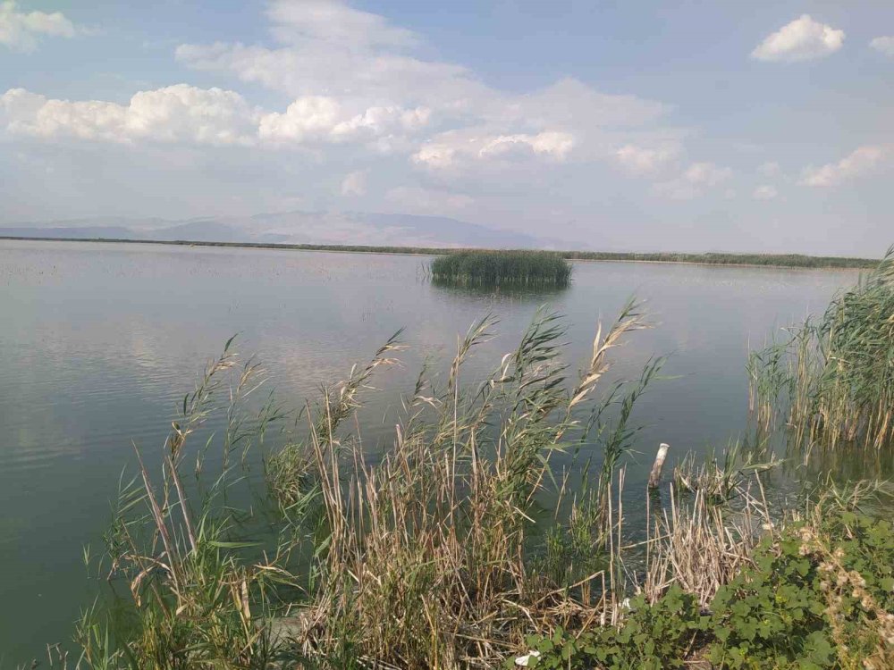 Kuruyan göller için umut toplantısı: Eber ve Akşehir gündemde