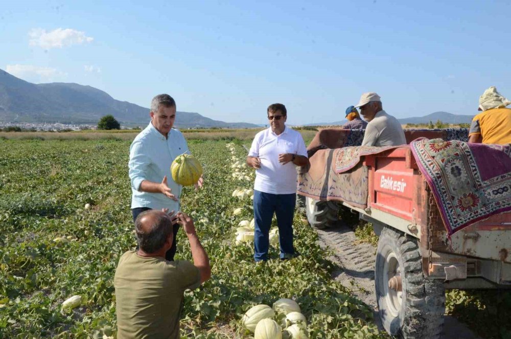 Manisa Türkiye'yi kavuna doyuracak