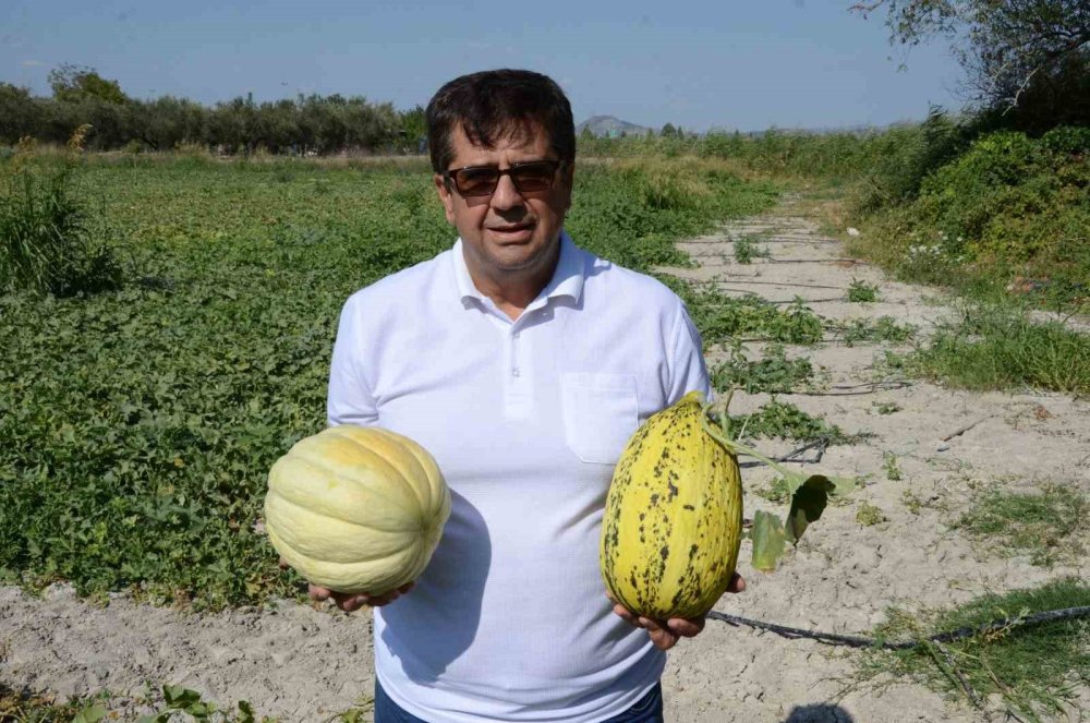 Manisa Türkiye'yi kavuna doyuracak