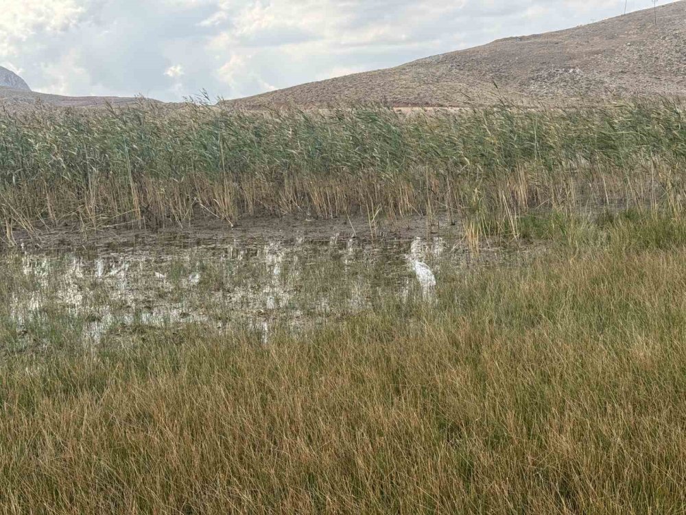 Doğa harikasını da çöplüğe çevirdiler