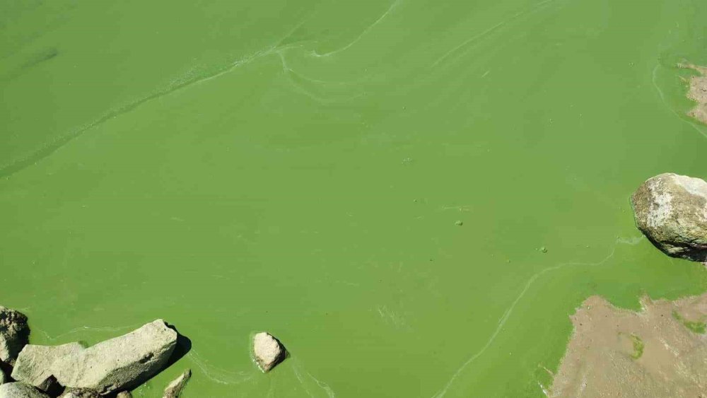 Ankara’da sular azaldı: Eski yerleşim yerleri gün yüzüne çıktı