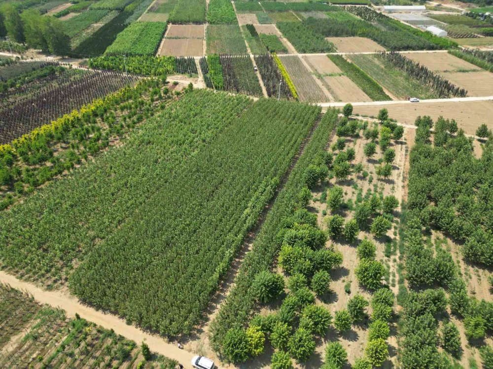 Kestel, PSB Anatolia Fuarı’nda tarımsal gücünü sergileyecek