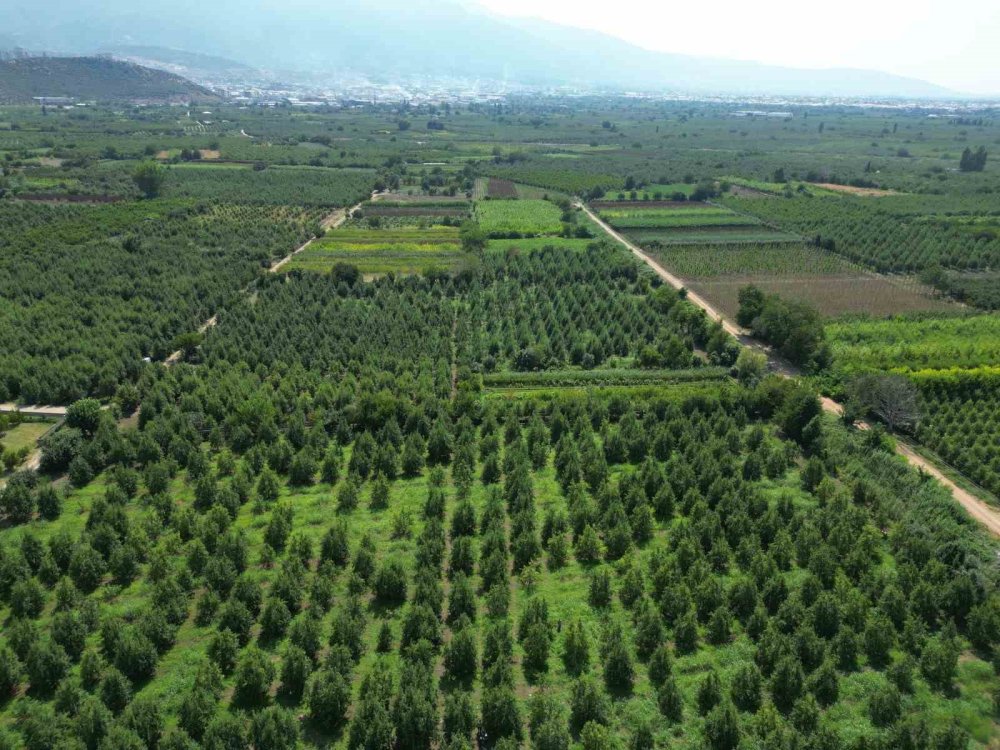 Kestel, PSB Anatolia Fuarı’nda tarımsal gücünü sergileyecek