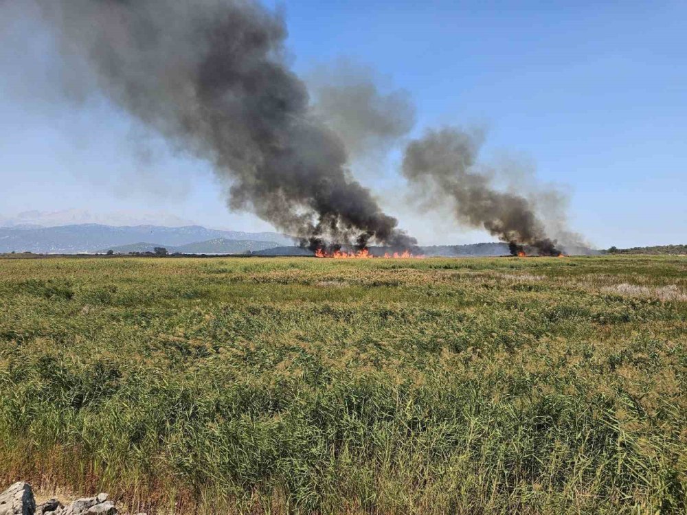 Göl Kurudu Yetmedi Yandı