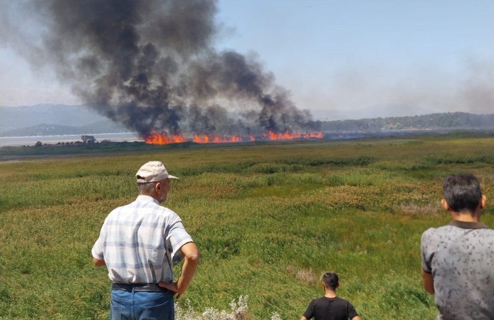 Göl Kurudu Yetmedi Yandı