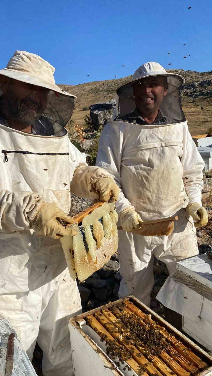 Konya'da Bal Hasadı Bereketli Geçti