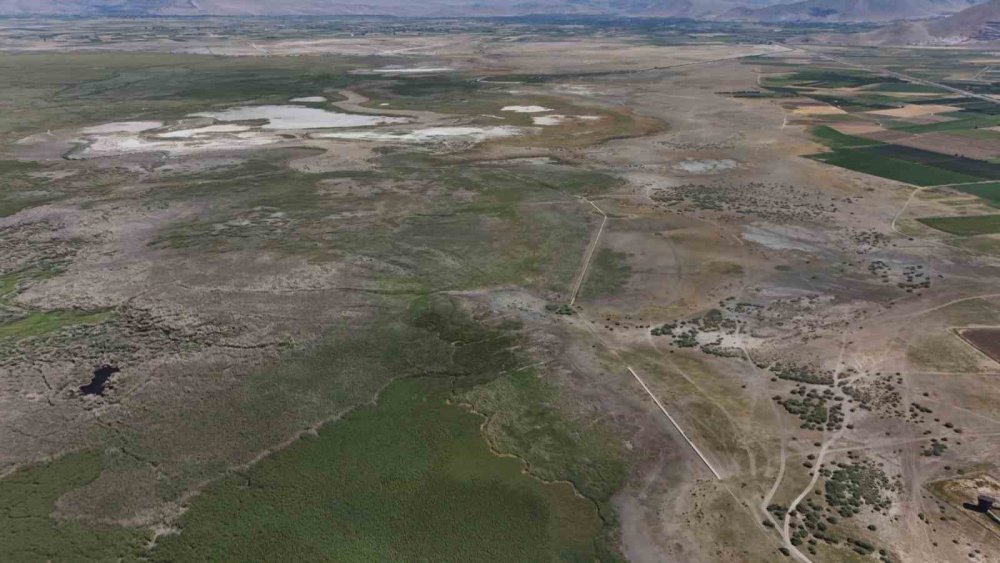 Kuş cenneti, tilki yuvası oldu