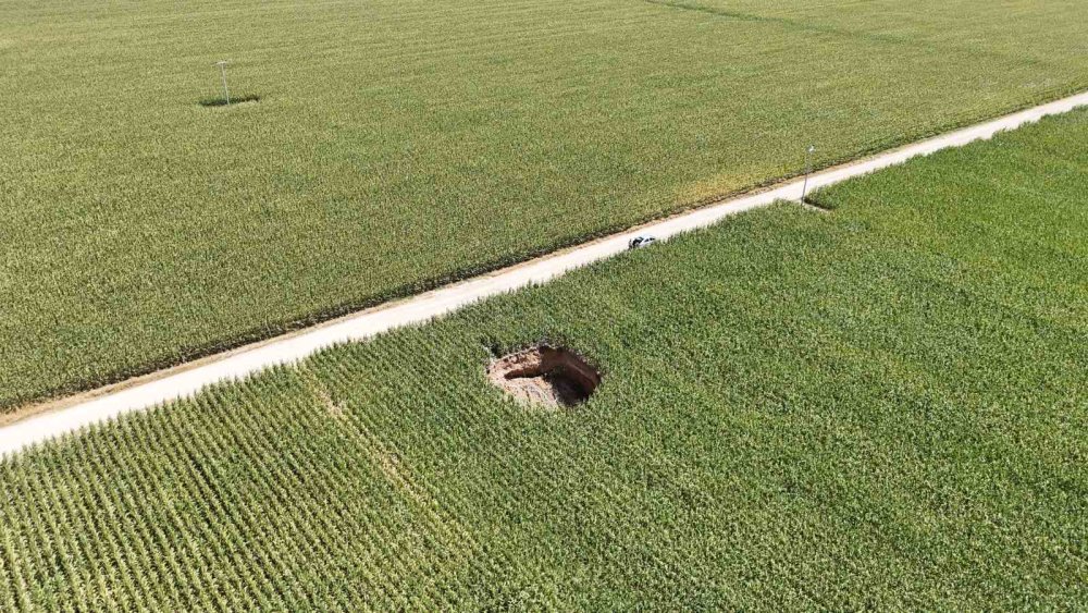 Tehdit büyüyor: Konya'dan sonra Karaman'da da başladı