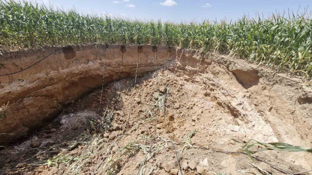 Tehdit büyüyor: Konya'dan sonra Karaman'da da başladı