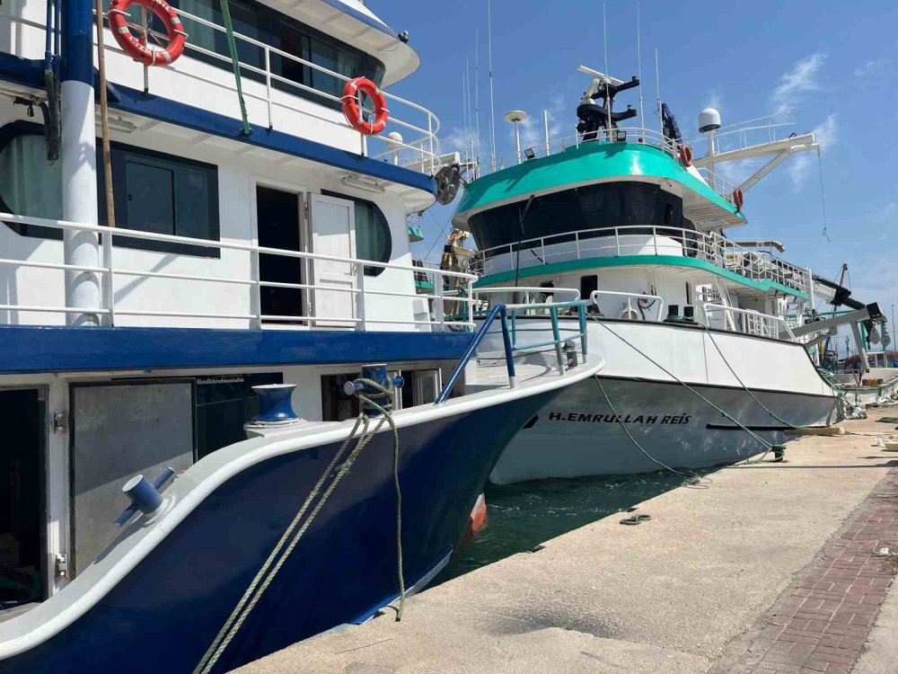 Denizde sardalyasız sezon: Balıkçılar umudunu hamsiye bağladı