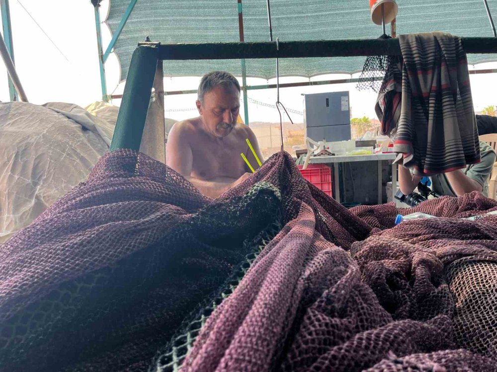 Denizde sardalyasız sezon: Balıkçılar umudunu hamsiye bağladı