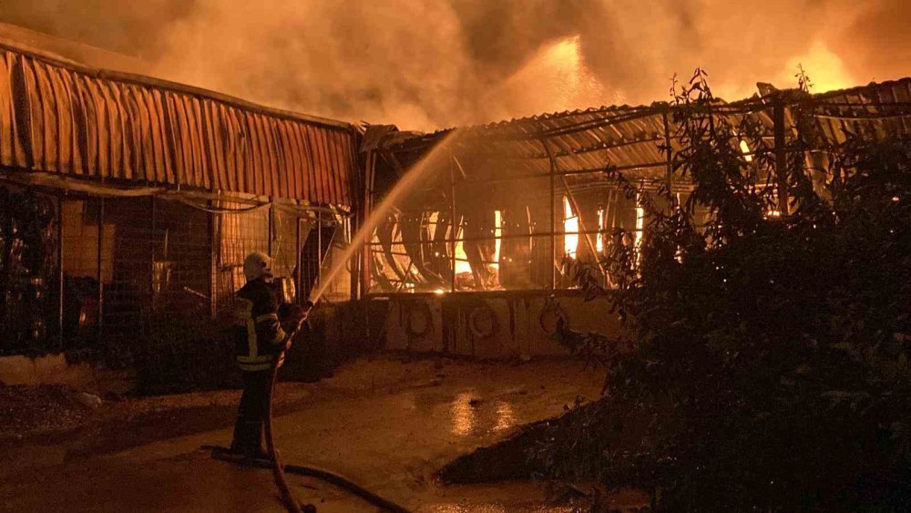 Herkes düğündeyken evleri alev alev yandı