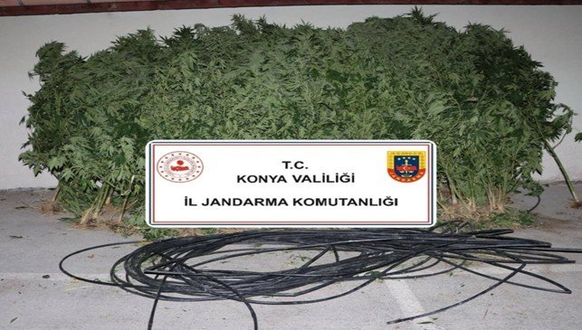 Konya’da jandarmadan uyuşturucu ve silah operasyonları: Çok sayıda madde ele geçirildi