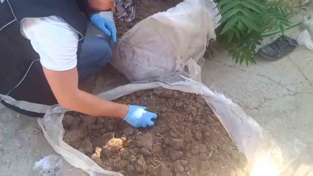 Konya’da zehir tacirlerine operasyon: 712 bin hap ele geçirildi