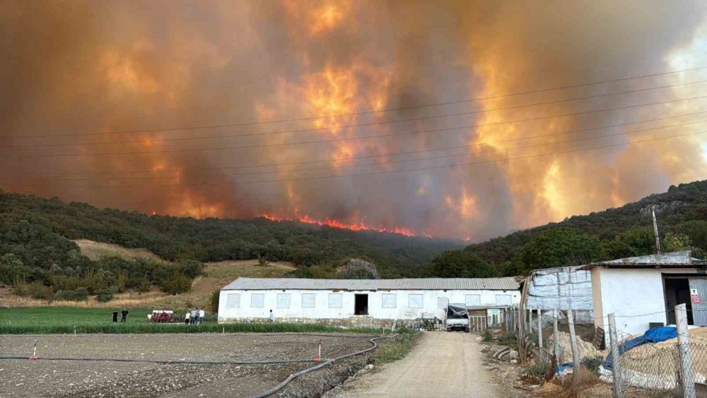 Yine ciğerimiz yanıyor: Yol kapandı, alevler büyüyor