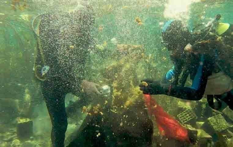 Akdeniz’de deniz kirliliği alarm veriyor