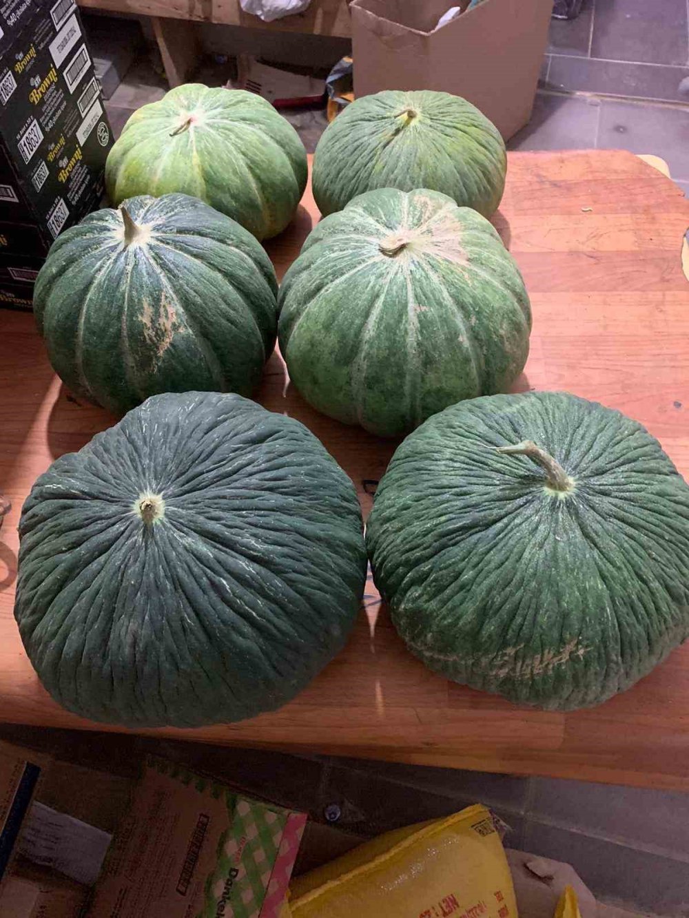 Ata tohumuyla "Çavuşlar Kavunu" yeniden canlandırıldı