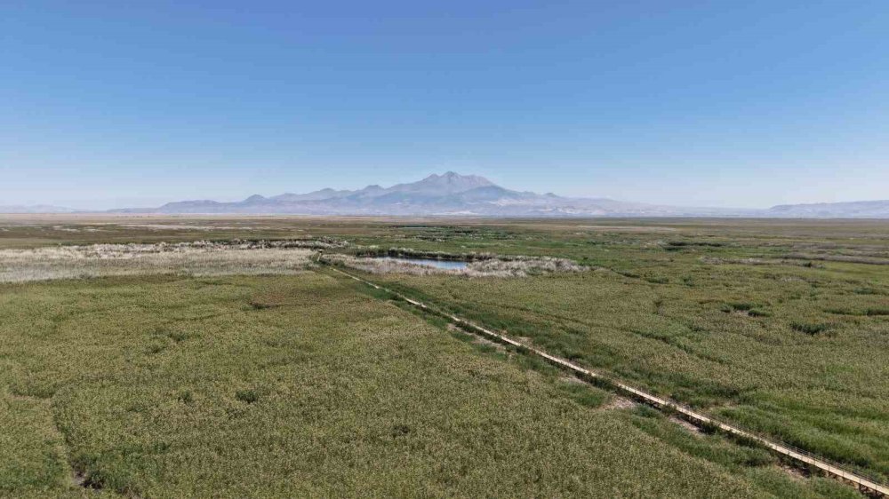 Sultan Sazlığı’na Can Suyu Müjdesi