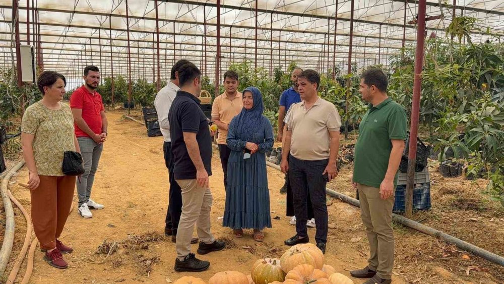 İlçeden Terkedeceklerdi Mango Gazipaşa'nın Kaderini Değiştirdi