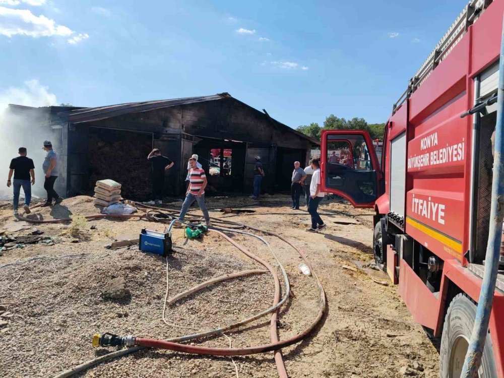 İtfaiyenin Cansiperane Müdahalesi 6 Hayvanı Kurtarmaya Yetmedi