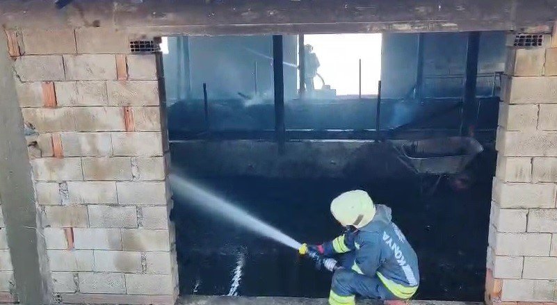 İtfaiyenin Cansiperane Müdahalesi 6 Hayvanı Kurtarmaya Yetmedi