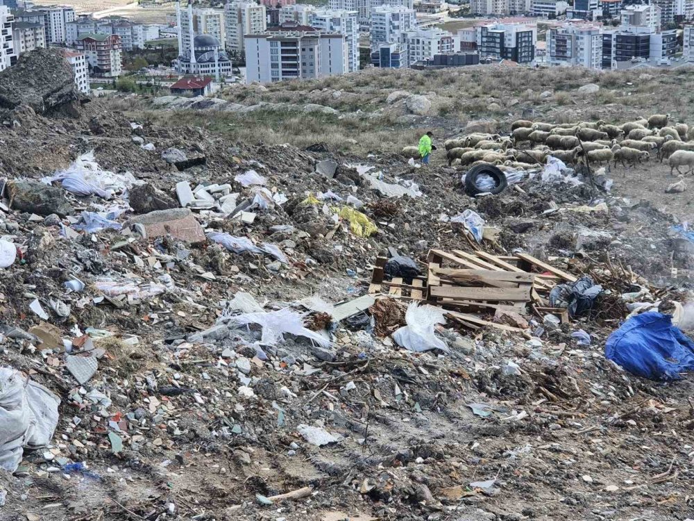 Başkent'e yakışmayan manzara: Bakanlık cezayı kesti