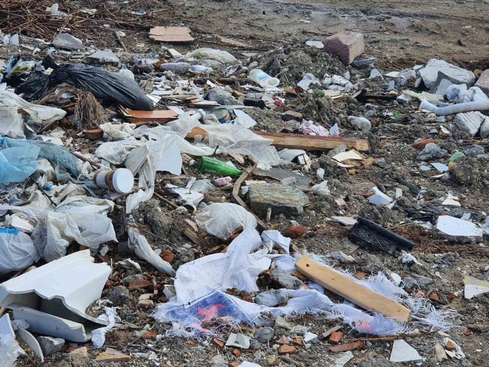 Başkent'e yakışmayan manzara: Bakanlık cezayı kesti