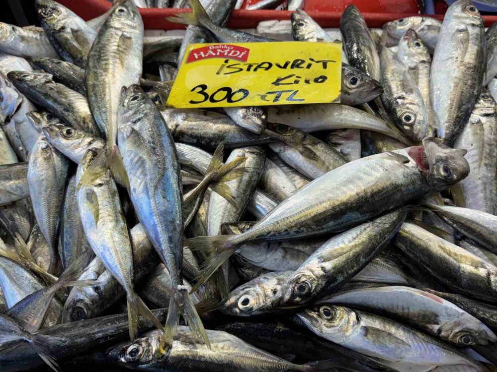 Sezon açıldı, tezgahlarda hamsi ve istavrit bolluğu