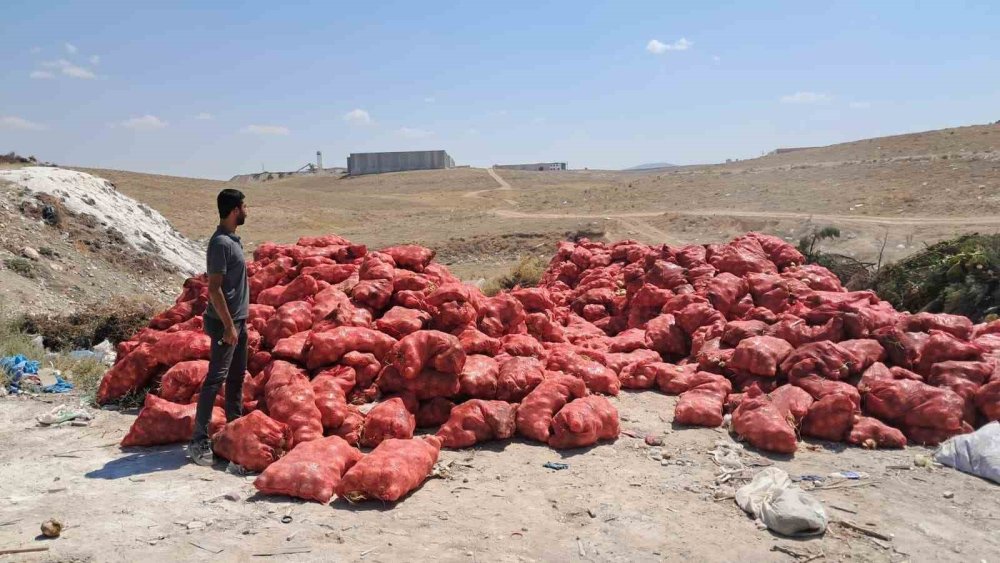 Tonlarca Kuru Soğan Boş Araziye Atıldı: Vatandaşlar Tepkili, Yetkililer İnceleme Başlattı