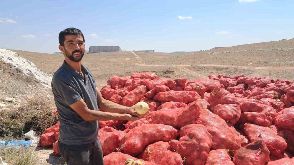 Tonlarca Kuru Soğan Boş Araziye Atıldı: Vatandaşlar Tepkili, Yetkililer İnceleme Başlattı