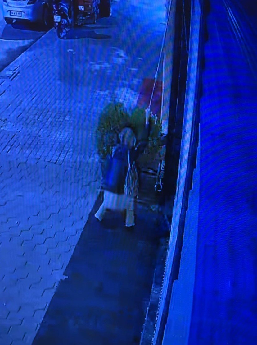 Bir kadın dükkanların önünde duran dekorasyon malzemelerini çaldı