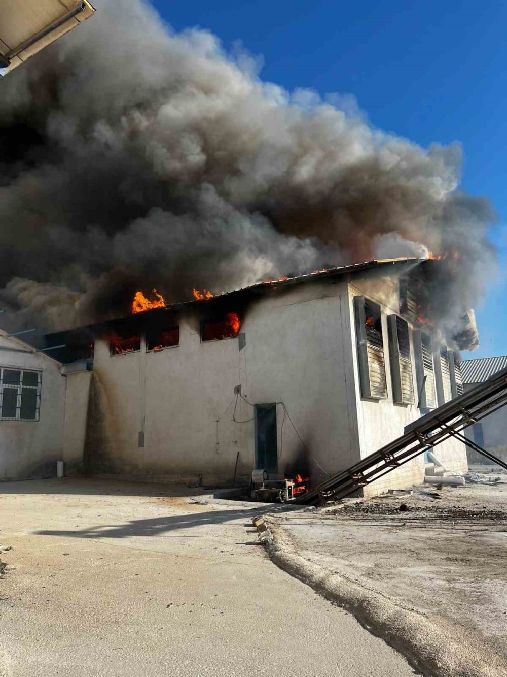 Tavuk çiftliğinde yangın çıktı: Çok sayıda tavuk telef oldu
