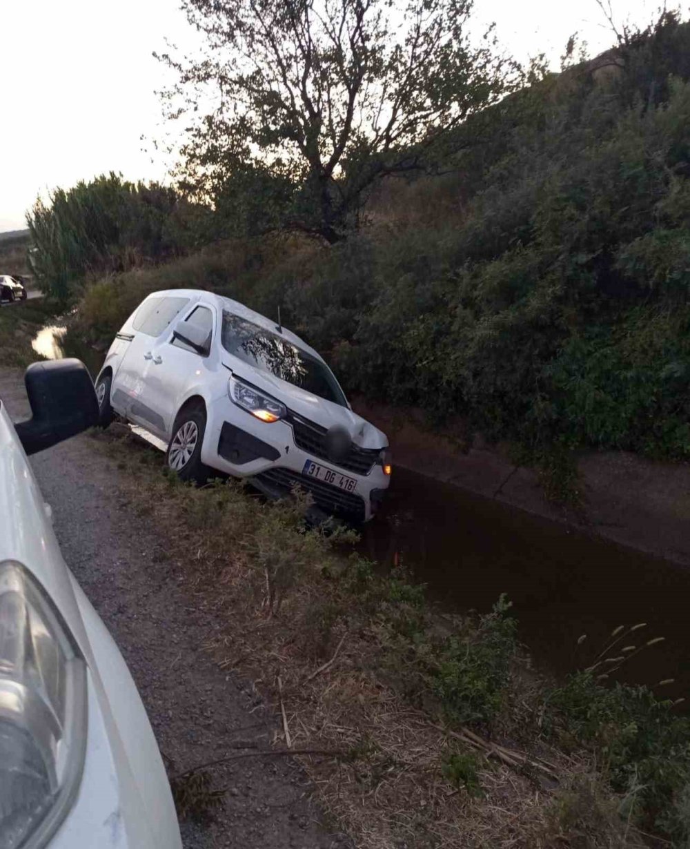 İnsan kaçakçısını ve göçmenleri koyun sürüsü durdurdu