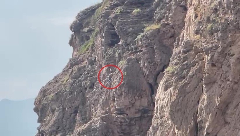 Falezlerde mahsur sanıldı, gerçek bambaşka çıktı