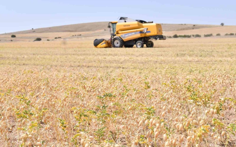 Kırşehir’de ÇKS Başvuruları Başladı: Ziraat Odası Uyardı