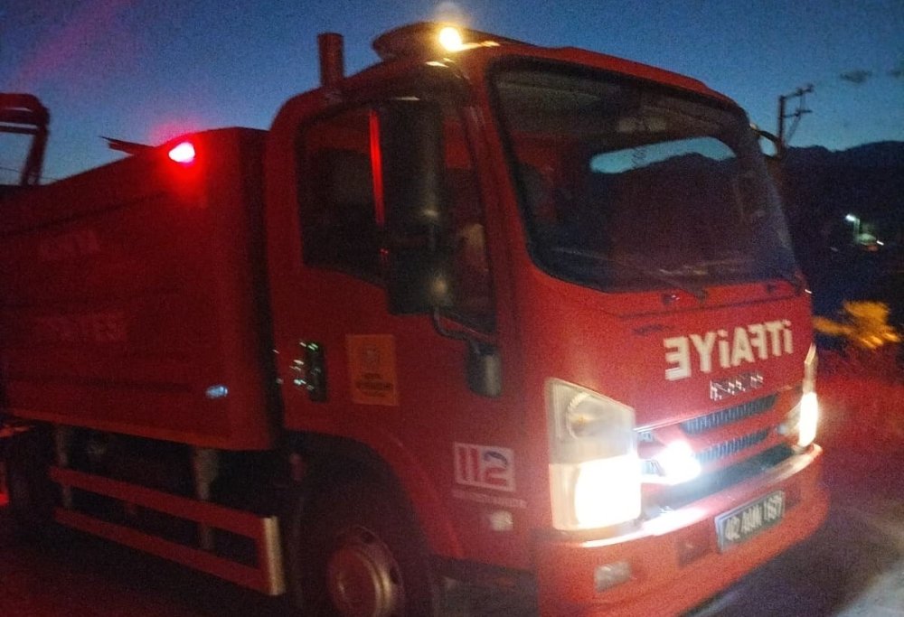 Vatandaş duyarlı kedi ağaçta mazot pahalı